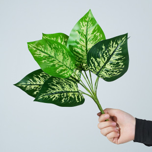 fഺ~~G}~Gֲ~ӼҾb΢^쾰ˮ