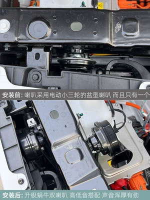 Version Vitality Bear High and – Car horn/tweeter