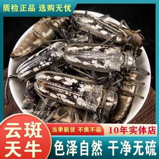 ��ș�� 녰���ţ �Lˮţ�˽ǃ�ţ���x ��녰���ţ ֧��ș�z