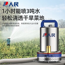 �������ֱ����ˮ��12V24V48V60V�ƿ�¿���ó�ˮ�C�r�ù������