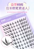 Nine-tailed rabbit 100 clusters glue-free ten rows