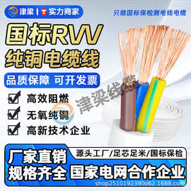 国标铜芯RVV护套线2/3/4芯2.5/4/6平方电线电机电缆线插座电源线