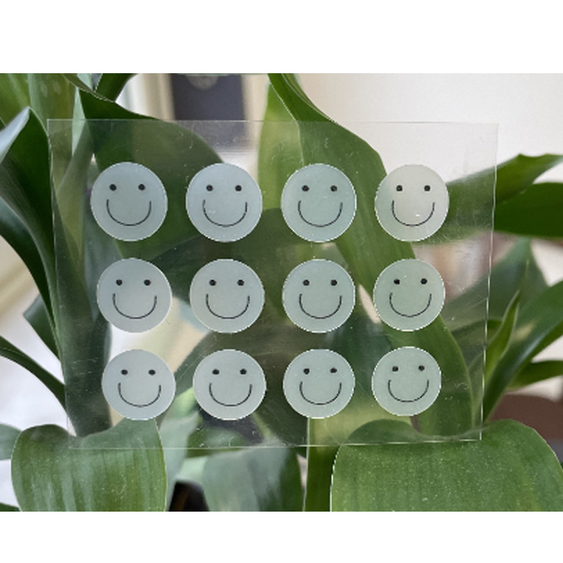 투명 웃는 얼굴 12 정/조각