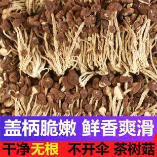 ��乽��؛��؛���_��500g���r���������乽��؛һ�ﲻ�_��蹽