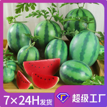 仿真西瓜模型假水果西瓜片塑料西瓜叶藤配件装饰早教画室摄影道具