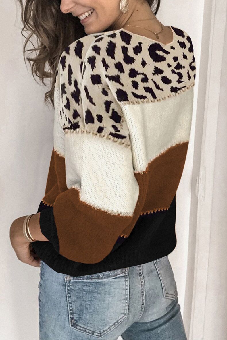 Women's Gender Women's Sweater Long Sleeve Sweaters & Cardigans Contrast Binding Streetwear Color Block Leopard