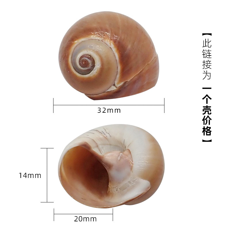 2-3cm에 적합한 네이비 블루 x76 새 껍질