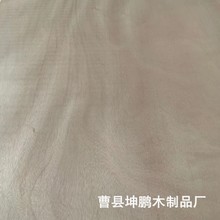 һоľƤb屳o匍ľNƤľ匍ľyN