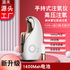 深セン手持ち水光計酸素注入器家庭用精華高圧ナノ補水神器精華導入美容器