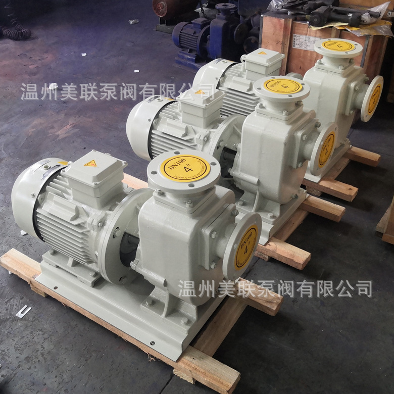 50ZXL12.5-50直连式自吸泵 铸铁304不锈钢自吸泵 直联自吸泵