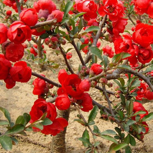 ���l���Ļ������辰�����N������ ���z���� ��������