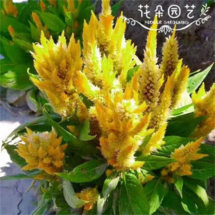 �u�ڻ��N���҃����Pβ����׷N����ֲ���ļ����N�_���̨ͥԺ����