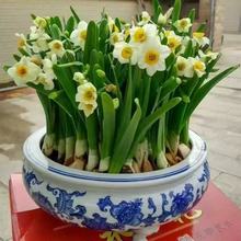 ˮ�ɻ�ˮ�໨���҃Ȼ�����ˮ�Bֲ�ﶬ�����B�ͺ�ֲ���ļ��Nֲ����