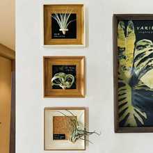 ins空气凤梨装饰画客厅玄关摆件软装绿植装饰画磁吸相框小众复古