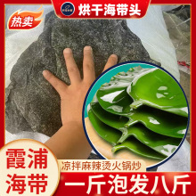 烘干海带头巨厚大叶赶集摆摊海带头干货加厚霞浦特厚级无沙海带丝