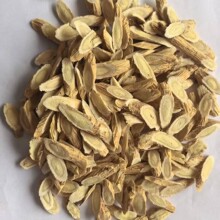 �S�� ���C�S��500�� �S��Ƭ�F؛���l �����Ĕz