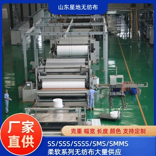 定制PP聚丙烯纺粘无纺布 热卖货源SSSS白色20g山东厂家免费供样品
