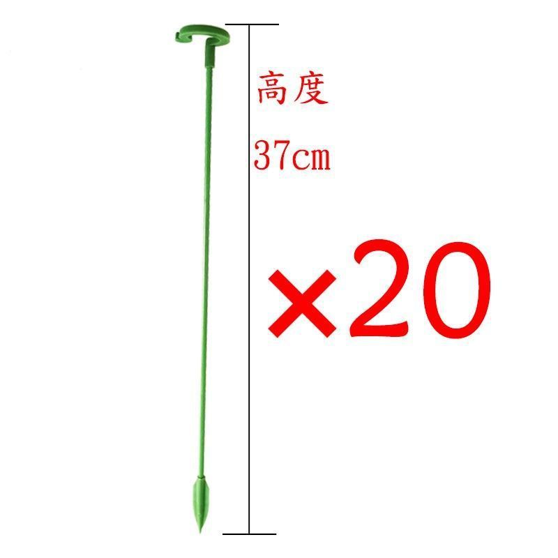 多肉植物胡蝶蘭の花花植物転倒防止趙志孫バラスタンドスタンドオーキッドスタンドサポートロッド|undefined