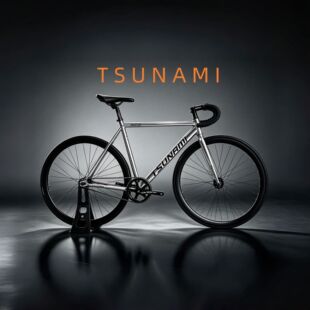 Tsunami���w��܇�����X�Ͻ����w܇