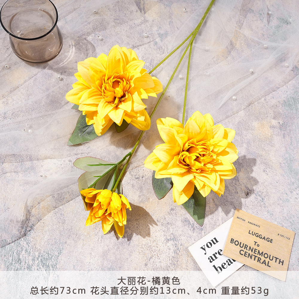 LM-大丽花-橘黄色
