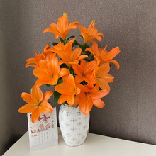 【顺丰冷链】精选橙色百合鲜花无香形亚百合花家用水培切花云南