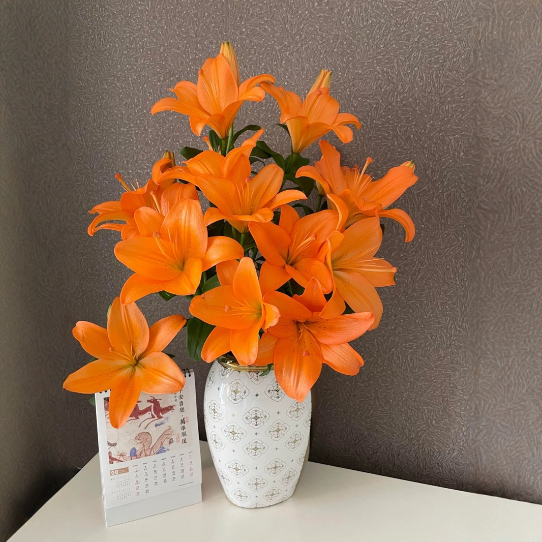 【顺丰冷链】精选橙色百合鲜花无香形亚百合花家用水培切花云南