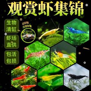 �^�p�r�����r��ˮ�r��ښ��r�坍�~�ͻ���B�Ꭷ�^�p�~����ˮ���r