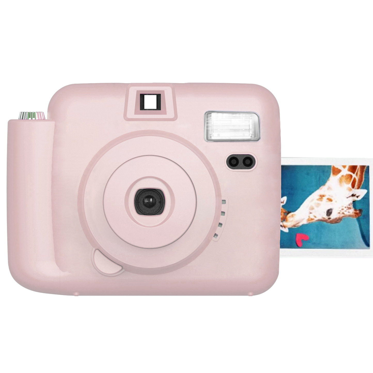 Polaroid, compatible camera