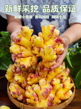 ���С�S��5���������r���F�ڸ�ɽ��������������ӽ��N�����߲�9