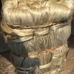 �̓r���l2026�S�ҹ�����©��©ˮ���S��z����z�w�S��z�S��z��