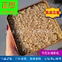 高压改性发泡pe颗粒