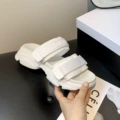White [Segmented]
