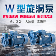 W型单级漩涡泵高压锅炉给水泵锅炉泵高压泵自吸泵锅炉泵喷雾水泵