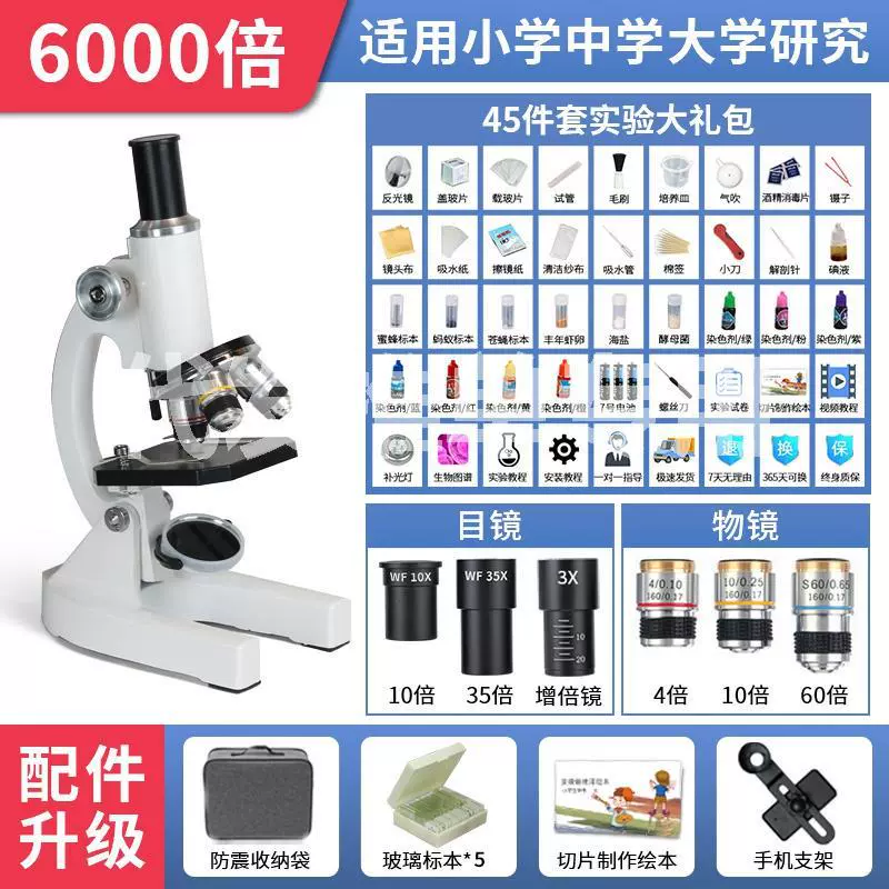 Учащиеся начальной школы в том же разделе