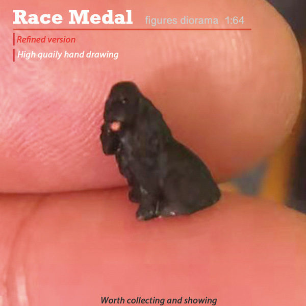 Racemedal1/64 Pet Dog Model Model Model Scenario Carabradi Teddy…