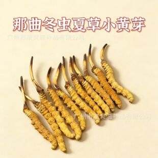 �����������x�Ĳݸ�؛�؅^�ߺ����x�ݶY�����aƷ��ʳС�Sѿ���x��