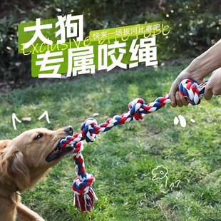 ����ҧ�K���ĥ���K�Y�κ����K�K�Ӵ���Ȯ���������������w��