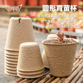 一次性餐盒;一次性碗碟;纸浆模塑