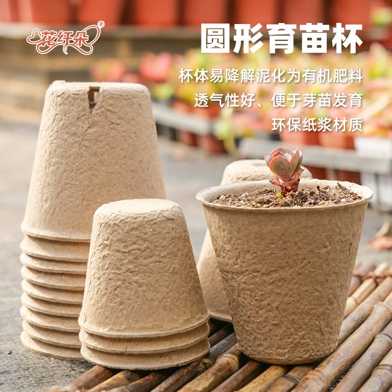 Оптовые лотки для рассады, дышащие лотки для суккулентов, ростков бобов, орхидей фаленопсис, биоразлагаемые стаканчики для рассады, лотки для выращивания растений