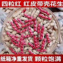 �|�������t���������r����r���ԷN�t�������lͨ�ÿ羳���l