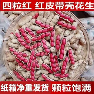 �|�������t���������r����r���ԷN�t�������lͨ�ÿ羳���l