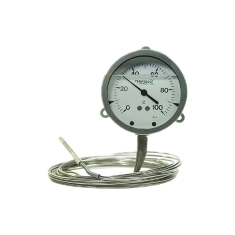 丹麦TEMPRESS压力表 隔膜压力表 温度计