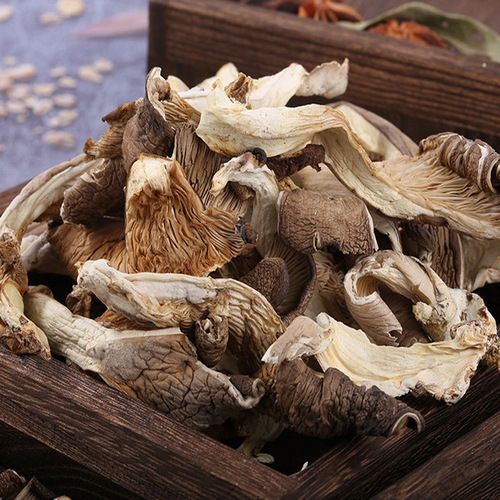 Pleurotus ostreatus strips, fresh mushrooms from farmers wholesale, Yunnan-produced oyster mushrooms, phoenix tail mushrooms, north wind mushroom strips, can be shipped on behalf of