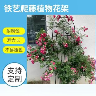 �Fˇ����ֲ�ﻨ�ܺ�ɫ���ٻ��@�W���Nޱ�¼�֧�ΗU�����̨��֧��