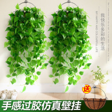 ����G�}�L�����Gֲ���g�͏d�������ϼ��~��ֲ��ڱڒ�ʽ