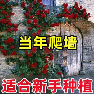 �����¼������ļ��_���ٱ��¼��Nޱ��������ͥԺ���̨��������