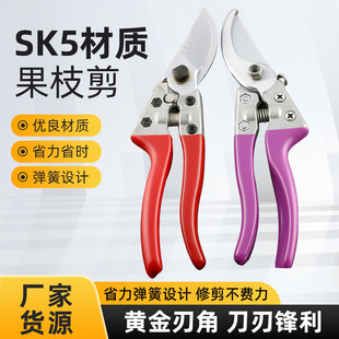 �S�����l�����ѹ�֦������֦����֦��@�ֹ���328��֦���քӹ���