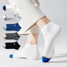 TmIƷʿļ\ڵ͎ͶͲm͸ml