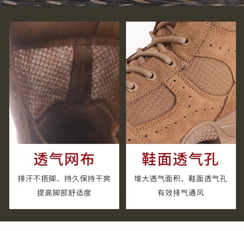 ab2b0fb3-9a36-43db-8fc9-ed92b606fb07.jpe