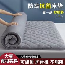 床垫软垫家用褥子学生宿舍折叠垫子单人睡租房地铺榻榻米垫被代发